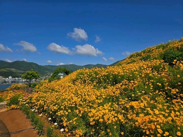 Flower Vibes at Jisepo