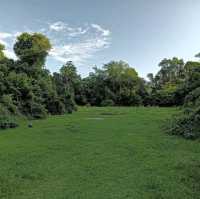 Bukit Brown Cemetery (Free historical walking site)