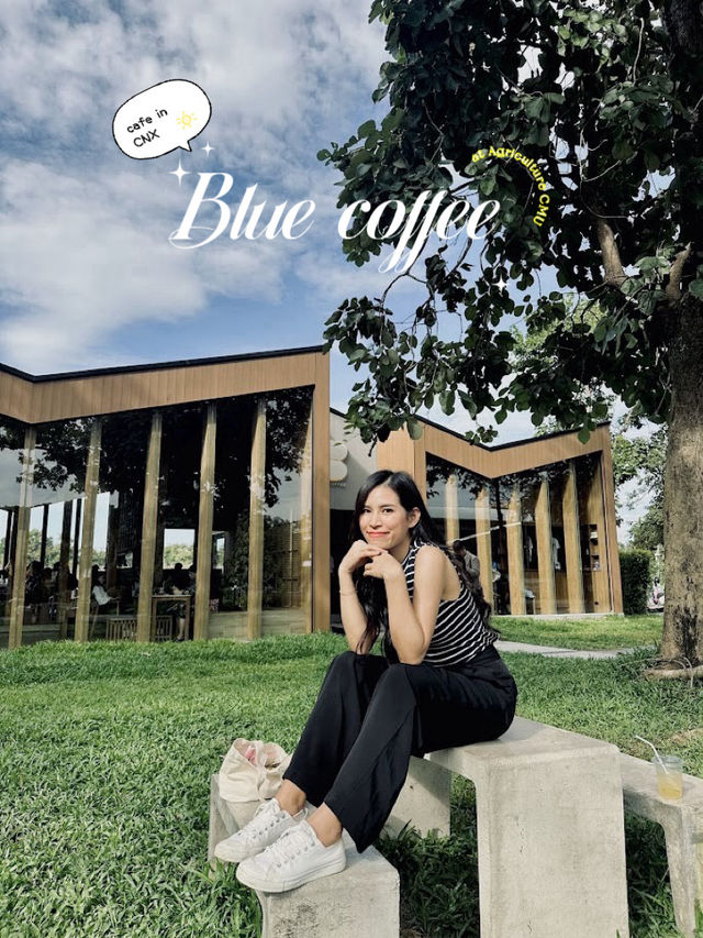 คาเฟ่ในรั้วมช. •Blue coffee at Agriculture CMU•