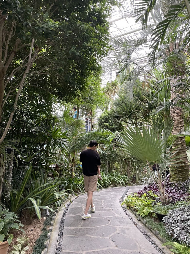 시원한 실내에서 이국적인 식물구경 어때요🌴