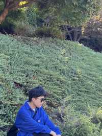 🌿走一條不擠人的路，看最震撼的奧克蘭天際線 | 德文港：North Head Summit 登頂＋海軍博物館漫步