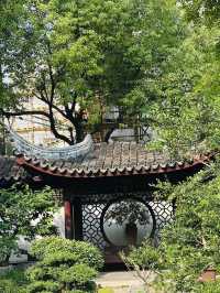 🌸 Discover Zuibaichi Park Shanghai | Ancient Poetry Garden & Tranquil Beauty