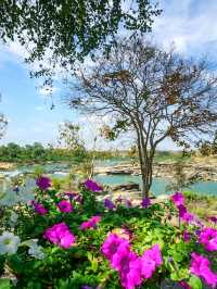 รีวิว: เที่ยวอุทยานแห่งชาติแก่งตะนะ (ปลายฤดูหนาว)