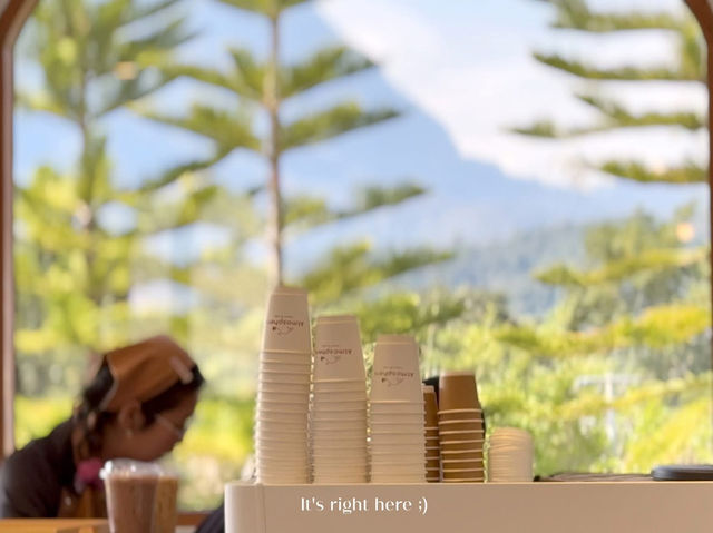 ☕ Atmosphere Chiang Dao – คาเฟ่วิวภูเขา 