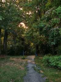 🌳 Taman Rakyat Klang – Where Chill Vibes Meet a Little Adventure