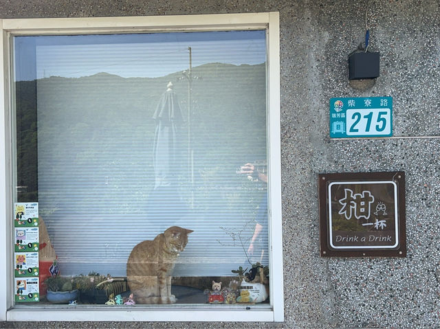 瑞芳侯硐貓村 新北知名景點