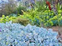 Urban Zen in Melbourne: A Secret Garden Beneath the Skyline
