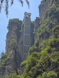 Zhangjiajie National Forest Park rocks!! 🏞