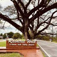Taman Tasik Taiping: A Misty Summer Morning in Malaysia’s Oldest Garden