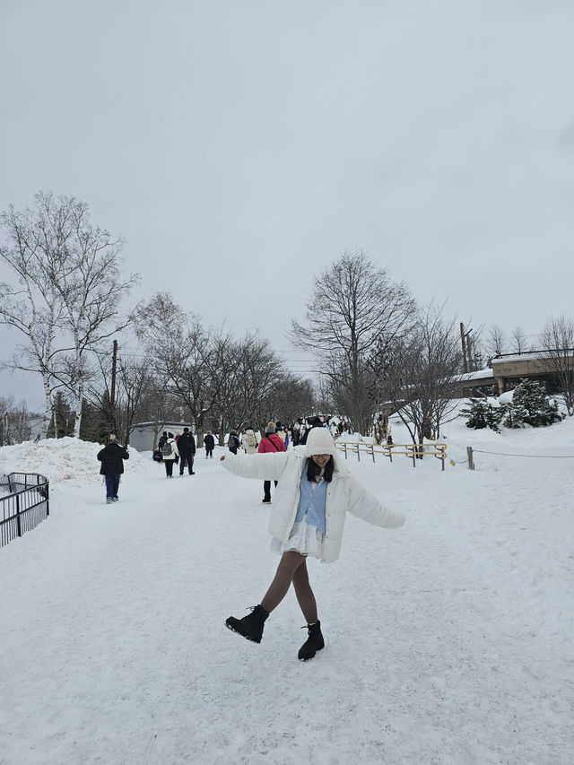 🐧 Rushing for Penguins at Asahiyama Zoo, Hokkaido 🐾