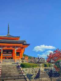 วัดคิโยมิซึ (Kiyomizu‑dera) ตอนฤดูใบไม้เปลี่ยนสี 