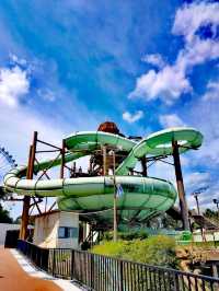 東京Summerland