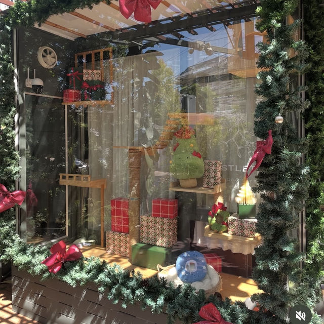 Mistletoe Flour Thyme – Pattaya 