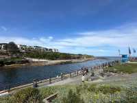 Clovelly Beach - 海泳、戲水 & 浮潛天堂