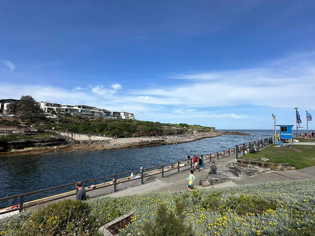 Clovelly Beach - 海泳、戲水 & 浮潛天堂
