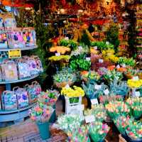 シンゲルの花市場🌷🇳🇱
