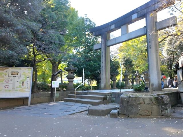 An assembly of Stones, the Stone lanterns of Ueno Toshogu Shrine