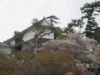 Odawara castle 