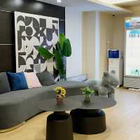 City Pulse with a Contemporary Glow