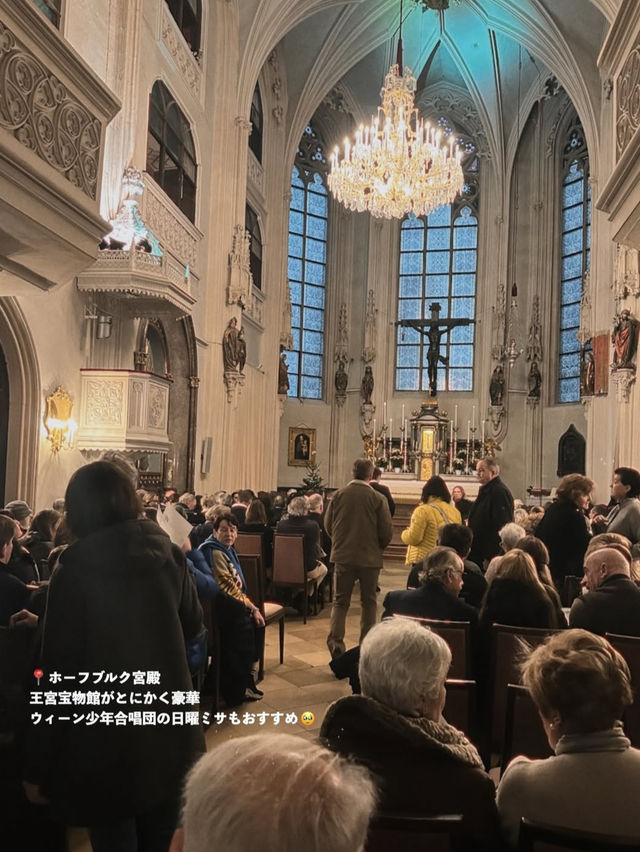 🇦🇹オーストリア｜ウィーンで味わう、音楽と芸術に包まれる優雅なひととき🎻☕️