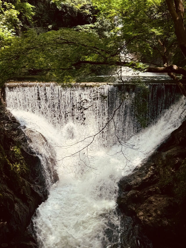 Nunobiki Falls (布引の滝) – Kobe’s Hidden Natural Oasis** 🌿💦