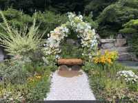 Seoul best kept secrets #6 international garden show 🌺🌻🪻