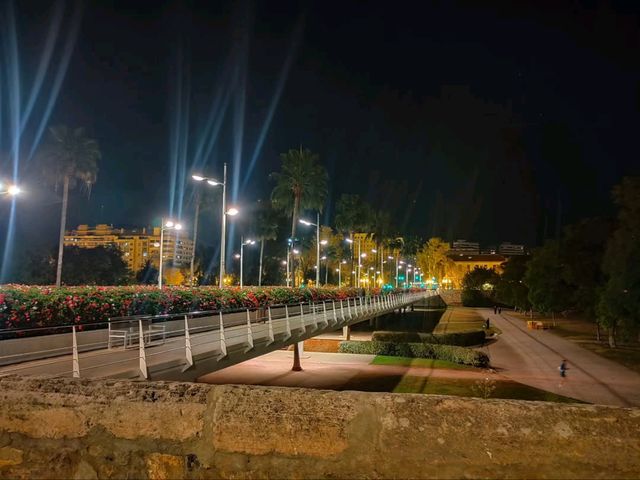Valencia After Dark