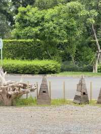 คาเฟ่ กทม.888 Little hill cafe