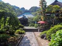 【神奈川県】 美しい鎌倉の奥座敷 花と水のお寺『海蔵寺』