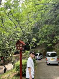 🗻 Arakurayama Sengen Park – Japan's Most Iconic View 🌸⛩️