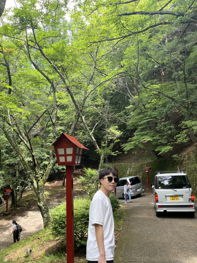 🗻 Arakurayama Sengen Park – Japan's Most Iconic View 🌸⛩️