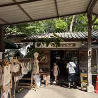 Chiang Mai 3 Days Itinerary
