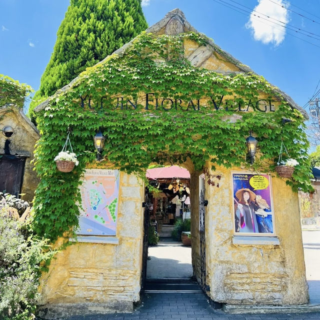 Magical Solo Escape: Yufuin Floral Village on a Budget** 🌸🏡