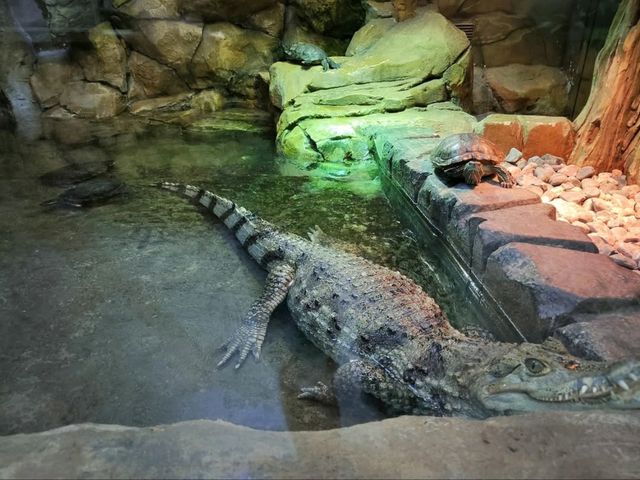 Kaliningrad Zoo