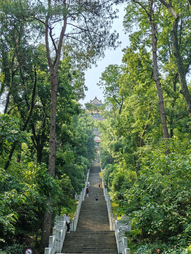 Mount Mo 🌿🏯