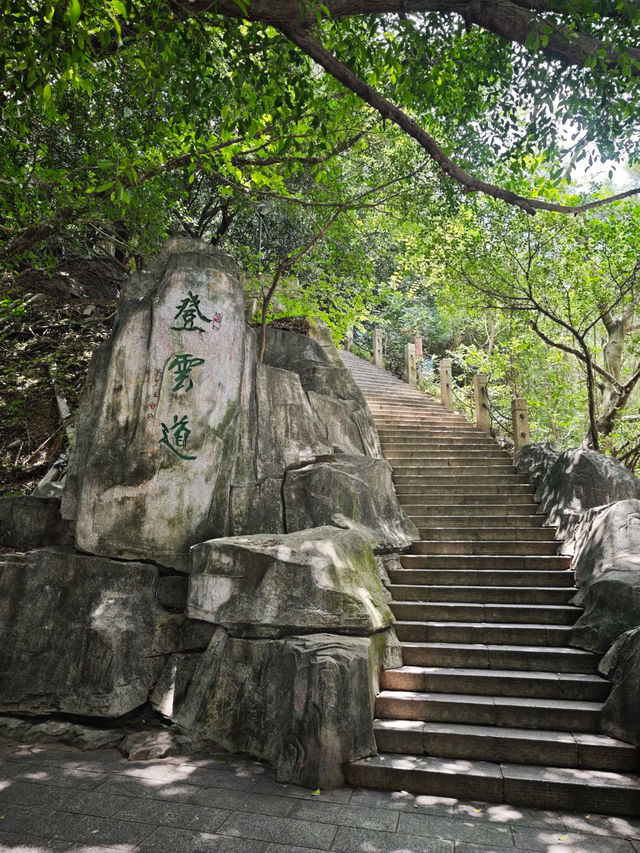Wutong Mountain ⛰️ 