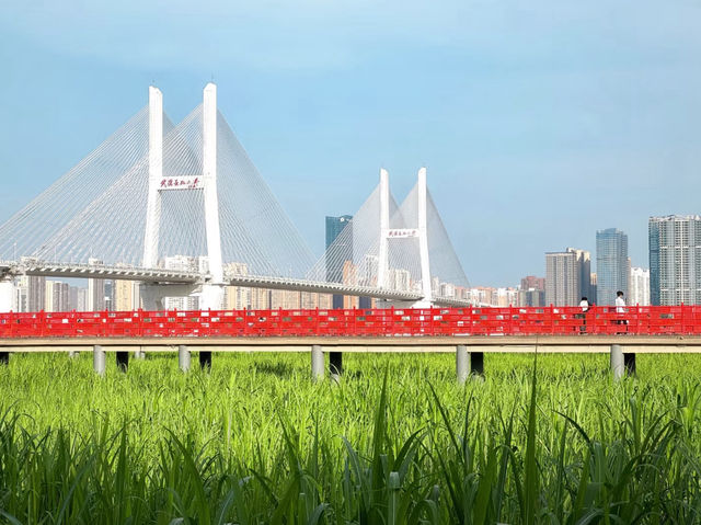 Hankou Beach Park 🌅🏞️