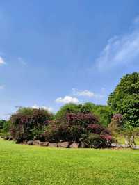 Botanic Garden in Singapore