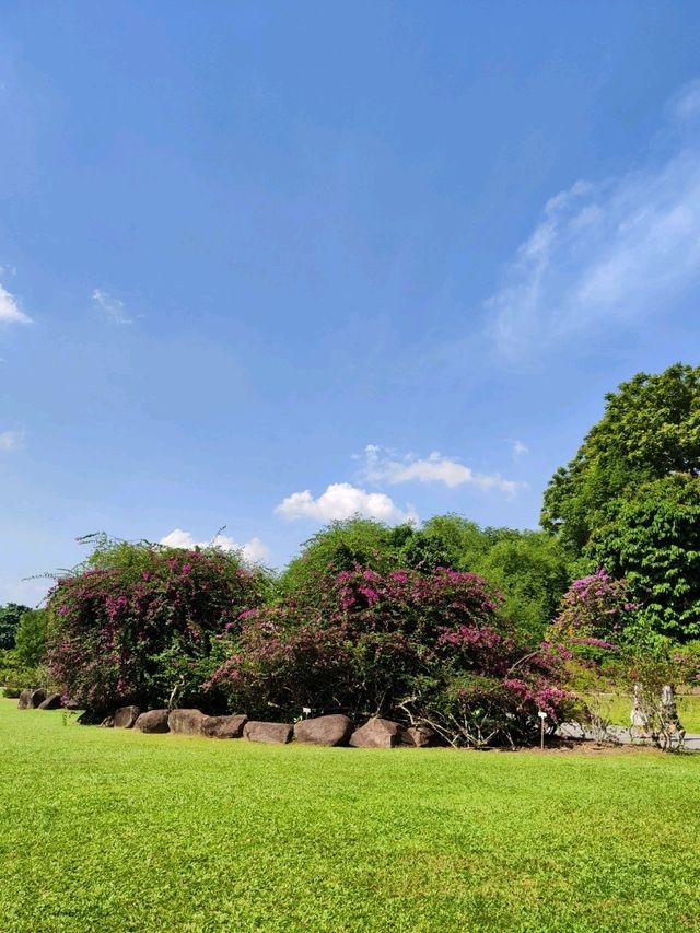 Botanic Garden in Singapore