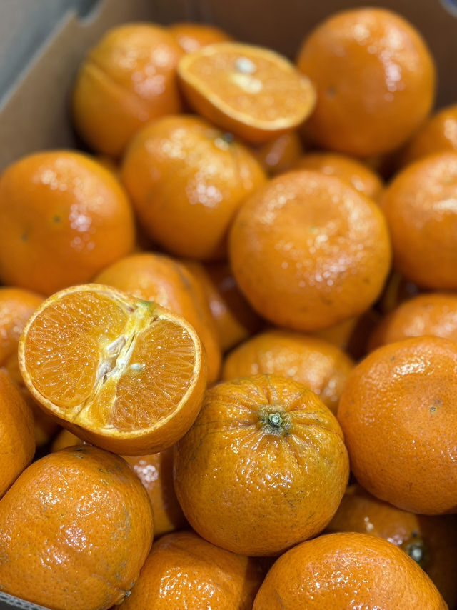 Farm-Fresh Finds at Dandenong market
