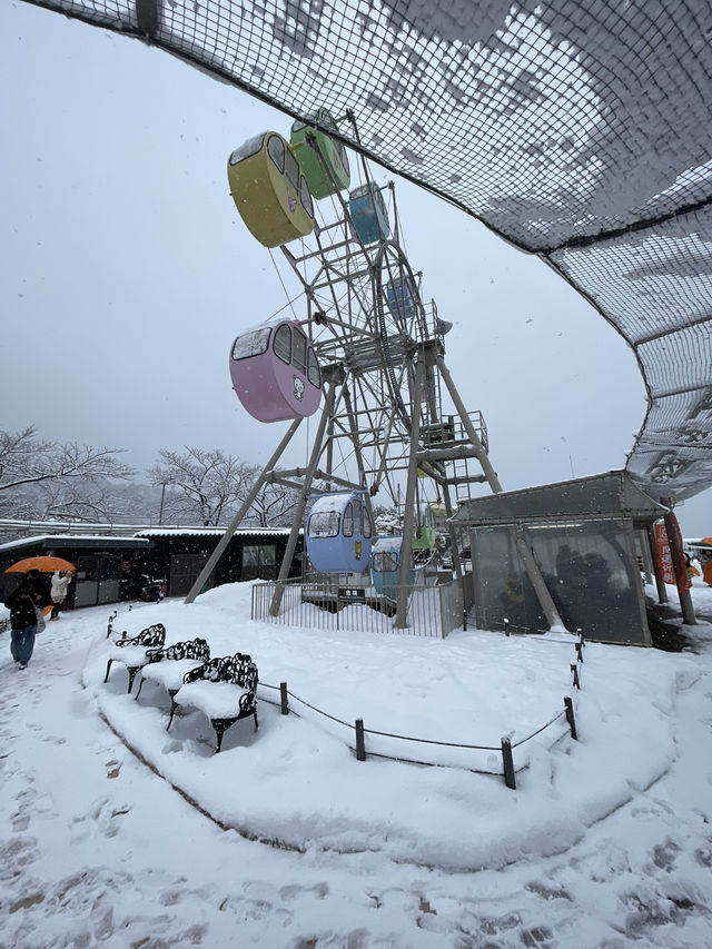 Winter magic in Ine no Funaya (伊根の舟屋), Kyoto ❄️🏘️ A peaceful snow-covered fishing village where tra
