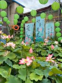 唯一缺點長沙限定🪷荷花主題餐廳