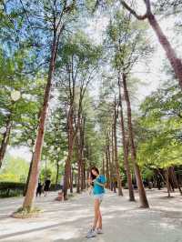首爾5天之旅：探索南北韓戰爭史，走入禁區