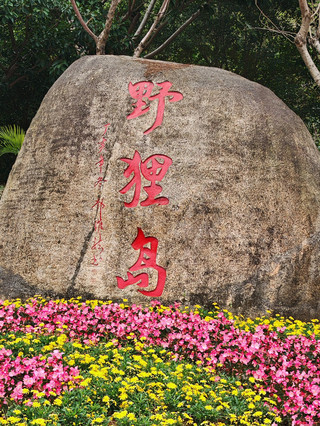 這個島🏝️