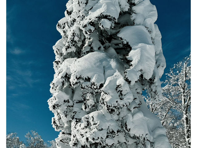 💕💕藏王滑雪如此震撼💕💕