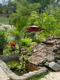 🌿 Wadi Amna, Janda Baik: A Tranquil Riverside Escape 🏡