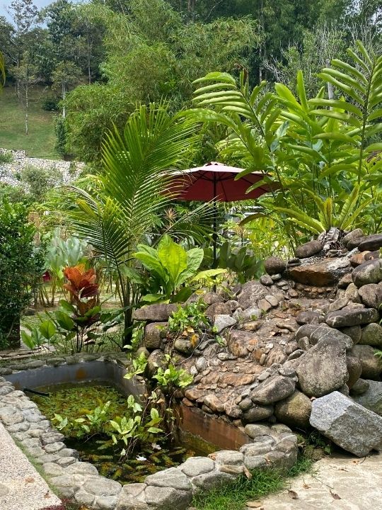 🌿 Wadi Amna, Janda Baik: A Tranquil Riverside Escape 🏡