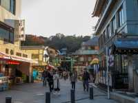 1 DAY TRIP IN KAMAKURA