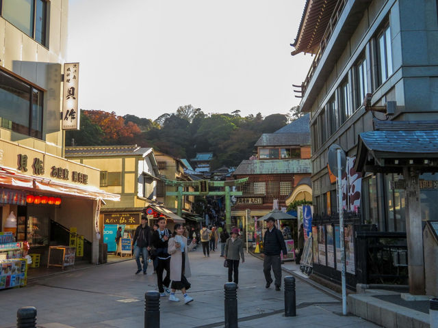 1 DAY TRIP IN KAMAKURA