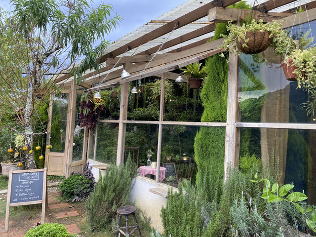The Summer Garden Café – Da Lat